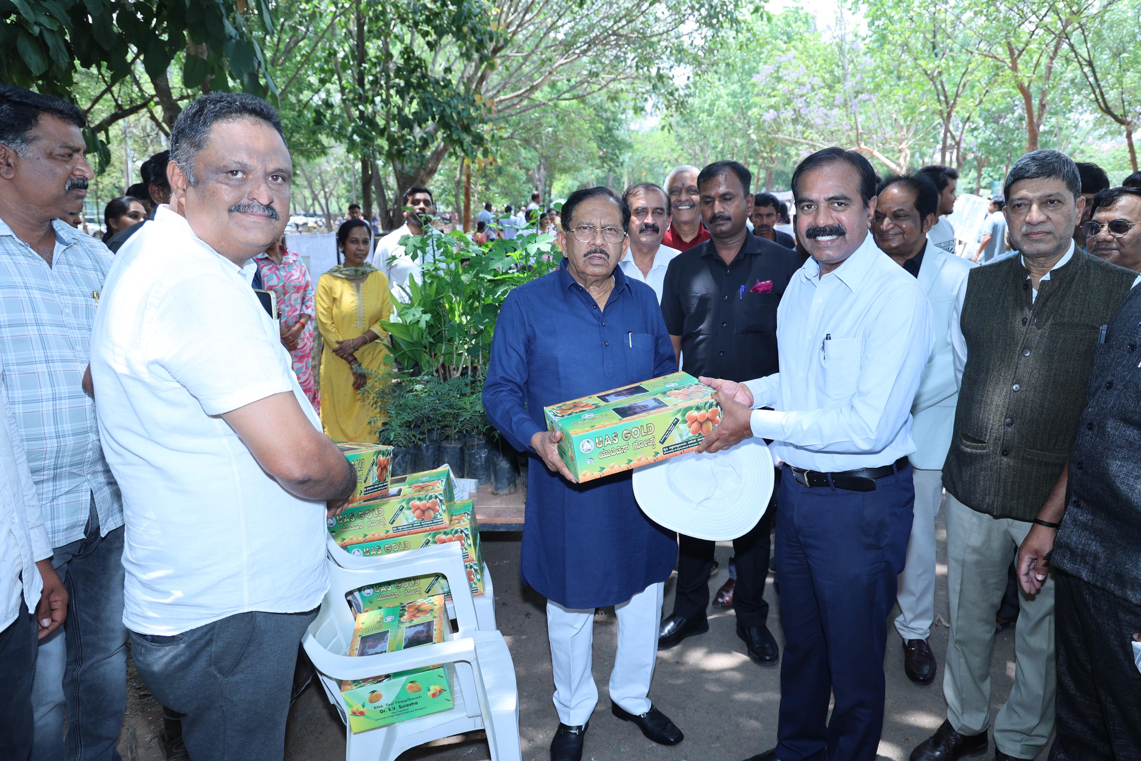 Multipurpose template